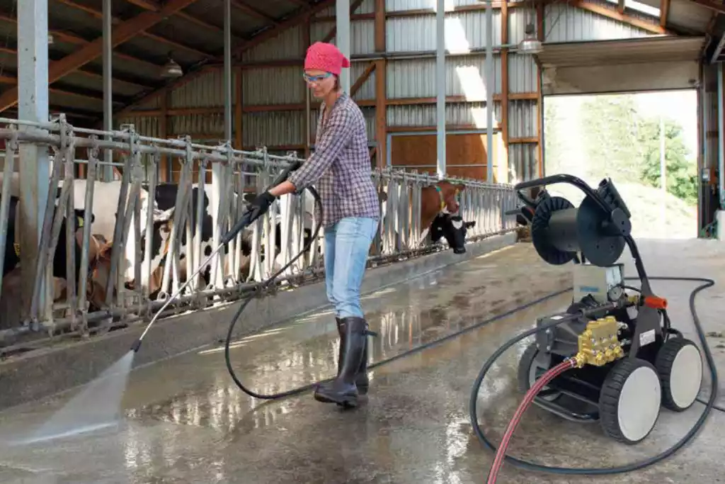trabajador limpiando establo con hidrolavadora industrial